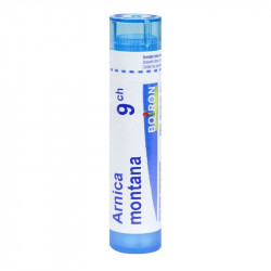 ARNICA MONTANA BOIRON 9CH tube-granules