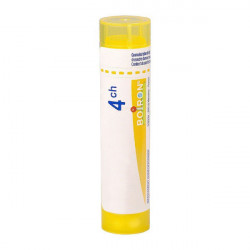 DULCAMARA BOIRON 4CH tube-granules