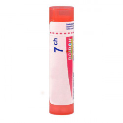 LEDUM PALUSTRE BOIRON 15CH tube-granules