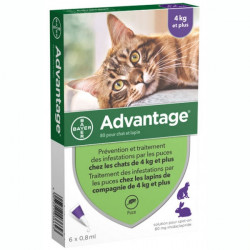 Bayer Advantage 80 Solution Antipuce Pour Chat et Lapin de 4kg et Plus 