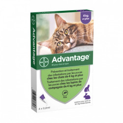 ADVANTAGE-80 CHAT/LAPIN PIPET 4