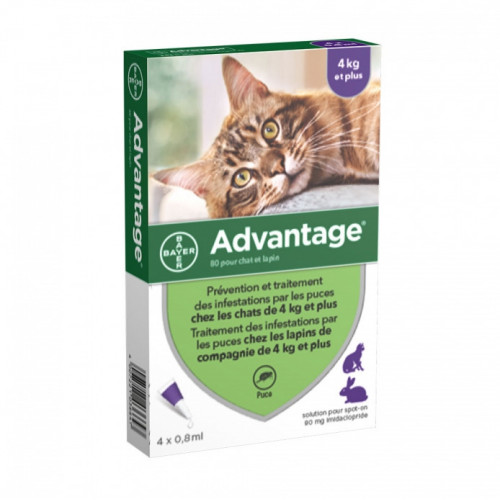 ADVANTAGE-80 CHAT/LAPIN PIPET 4