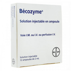 BECOZYME, solution injectable en ampoule