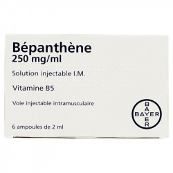 BEPANTHENE 250 mg/ml, solution injectable I.M., boîte de 6 ampoules de 2 ml