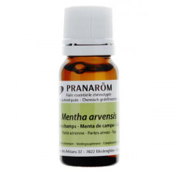 Pranarom huile essentielle de Menthe des champs Bio 10 ml