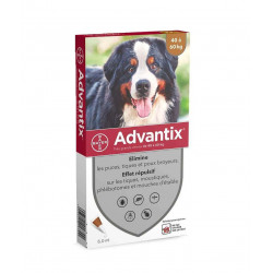 Advantix Grand Chien 40 à 60 kg 4 Pipettes 