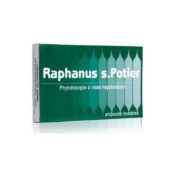 RAPHANUS S. POTIER - 12 Ampoules Buvables