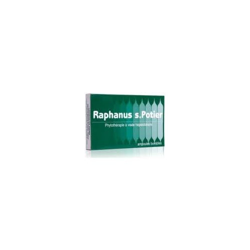 RAPHANUS S. POTIER - 12 Ampoules Buvables