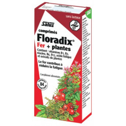 Floradix 84 comprimés