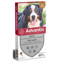 ADVANTIX CHIEN (40-60 Kg) - 6 Pipettes