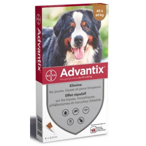 ADVANTIX CHIEN (40-60 Kg) - 6 Pipettes