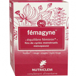 FEMAGYNE EQUILIBRE FEMININ 40 Comprimes