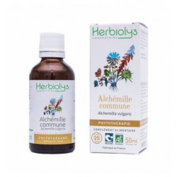 HERBIOLYS Phytothérapie Alchémille Commune Bio - 50 ml