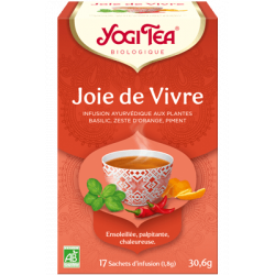 YOGI TEA Joie de Vivre - 17 sachets