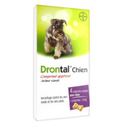 DRONTAL Chien - 4 Comprimés