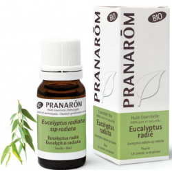 PRANARÔM HUILE ESSENTIELLE Eucalyptus Radiata Bio 10ml