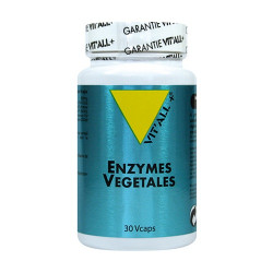 VIT ALL+ ENZYMES VEGES - 30 Capsules