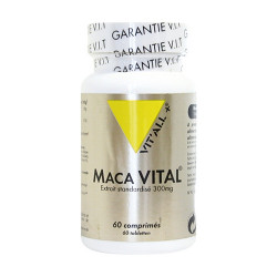 VIT ALL+ MACA500MG EX/STD - 60 Comprimés