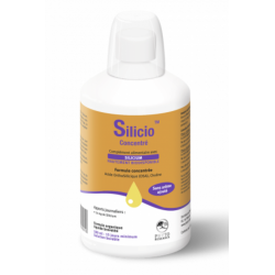 PHYTORESEARCH SILICIO CONCENTRÉ - 500 ml