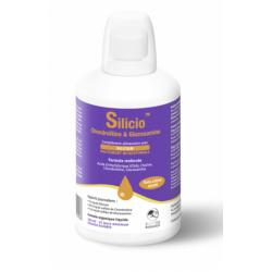 PHYTORESEARCH SILICIO CHONDROÏTINE & GLUCOSAMINE - 500 ml