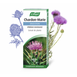 VOGEL CHARDON-MARIE EXTRAIT DE PLANTE - 50 ml