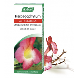 VOGEL EPF HARPAGOPHYTUM - 50 ml