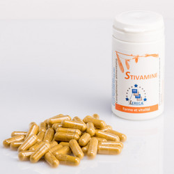 LERECA STIVAMINE - 60 Capsules