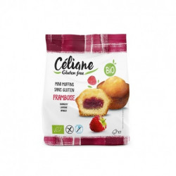 RECETTES CELIANE MOELL FRAMB 200G