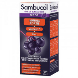 SYNPHONAT SAMBUCOL IMMUNO FORTE SP - 120 ml