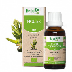 HERBALGEM FIGUIER BIO - 30 ml