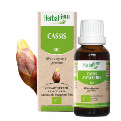 HERBALGEM CASSIS BIO - 30 ml