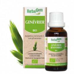 HERBALGEM GENÉVRIER BIO - 30 ml