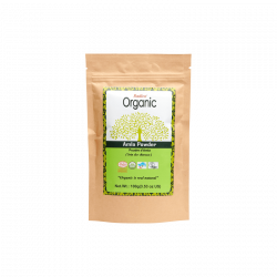 RADICO ORGANIC Poudre Bio Amla 100g