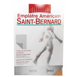 SAINT BERNARD EMPLÂTRE AMERICAIN