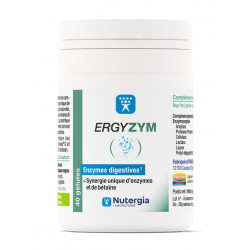 ERGYZYM - 40 Gélules