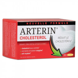 ARTERIN CHOLESTROL - 90 Comprimés