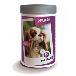 PET-PHOS PELAGE Chien - 50 Comprimés