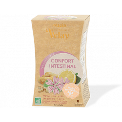 HERBORISTE DU VELAY INFUSION BIO CONFORT INTESTINAL Mauve