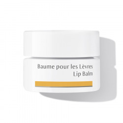 DR HAUSCHKA Baume pour les Lèvres - 4,5ml