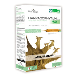 SCIENTIA NATURA Harpagophytum - 20 ampoules