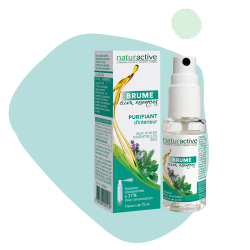 NATURACTIVE Brume Aux Essences Purifiant Intérieur 15ml