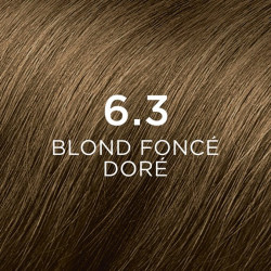 PHYTOCOLOR Kit Coloration 6.3 - Blond Foncé Doré