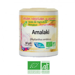 AMALAKI 400MG Organic - 60...