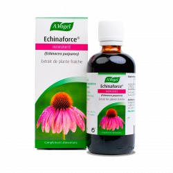 VOGEL EXTRACT OF Echinacea...