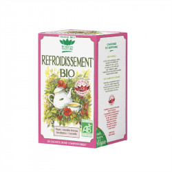 ROMON NATURE Organic Cooling Herbal Tea - 20 Sachets