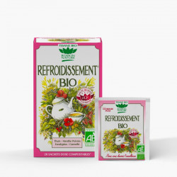 ROMON NATURE TISANE Refroidissement Bio - 20 Sachets