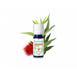 PURESSENTIEL HUILE ESSENTIELLE Eucalyptus Radié BIO - 10ml