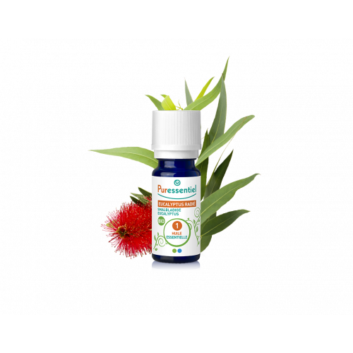 PURESSENTIEL HUILE ESSENTIELLE Eucalyptus Radié BIO - 10ml