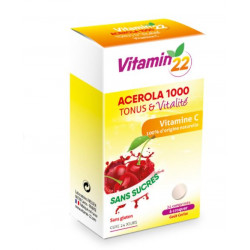 LABORATOIRES INELDEA VITAMIN''22 ACEROLA 1000 - 24 comprimés