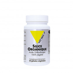 VITALL+ SILICE ORGANIQUE 25mg - 30 Gélules